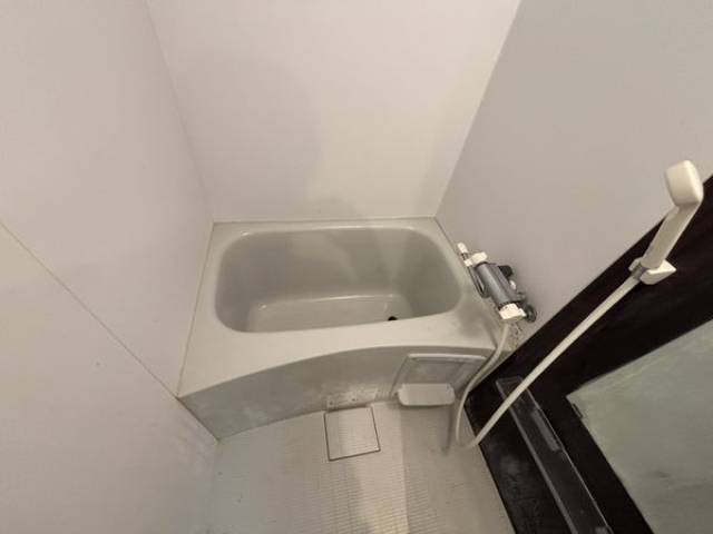バス