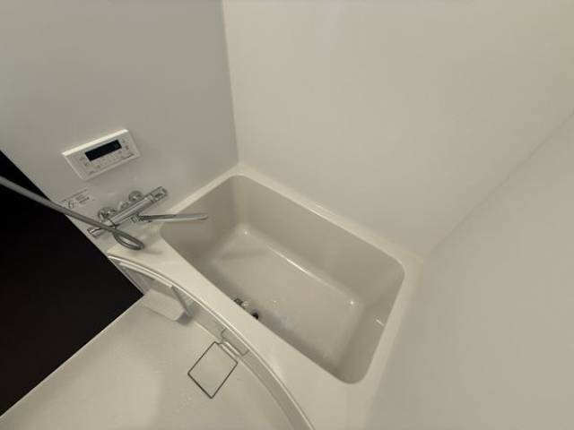 バス