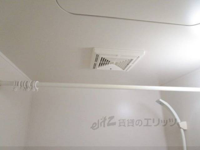 バス