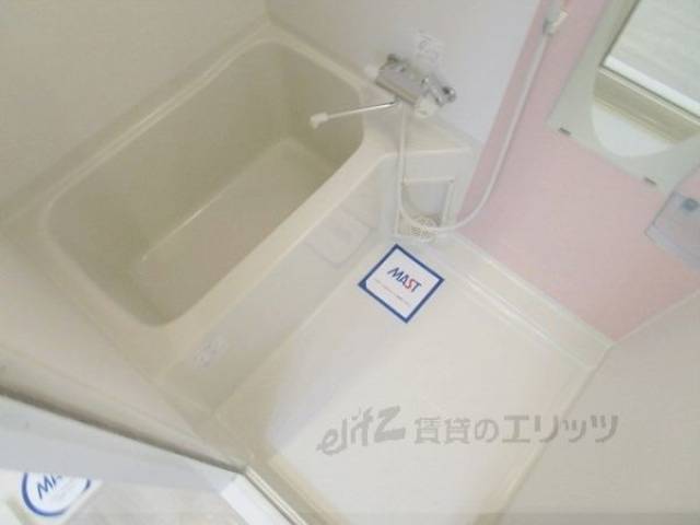 バス