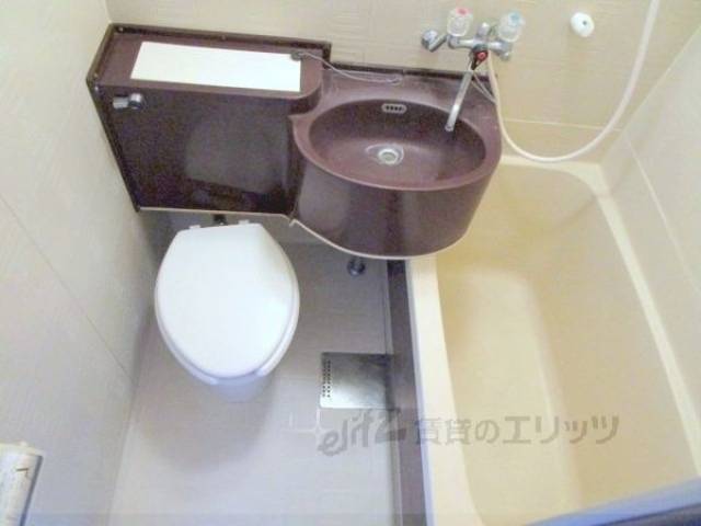 バス