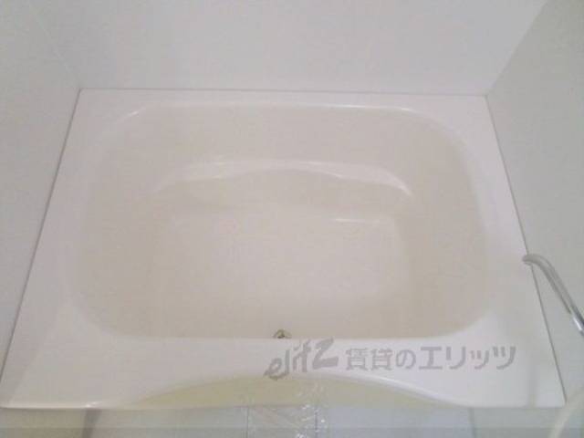 バス