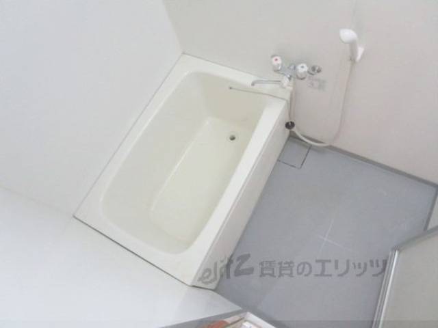 バス