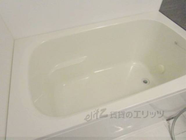 バス