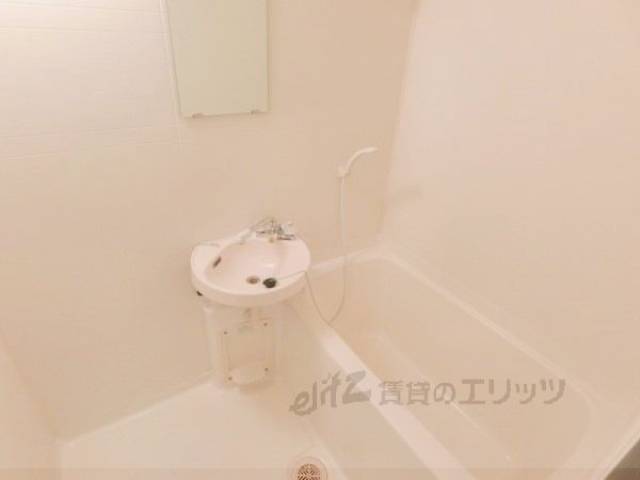 バス