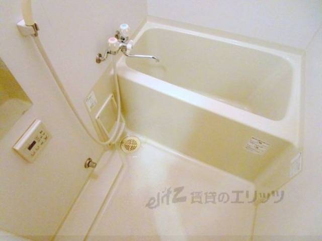 バス