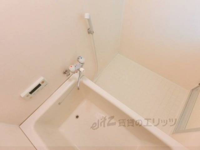 バス