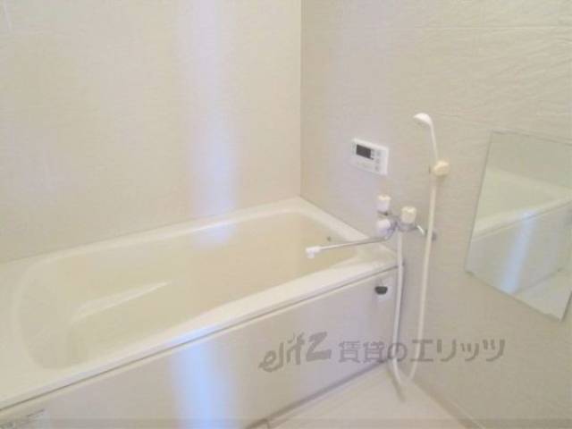 バス