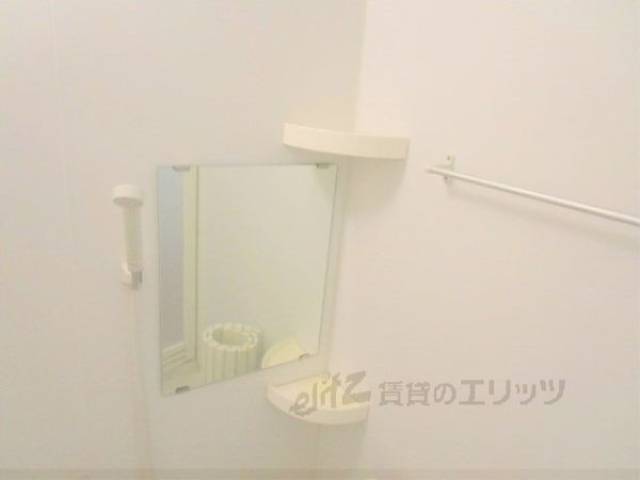 バス