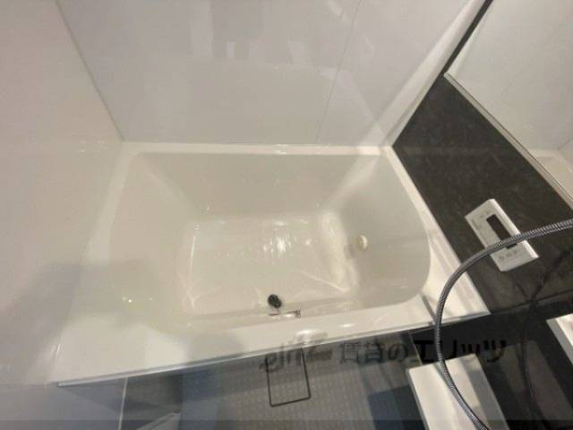 バス