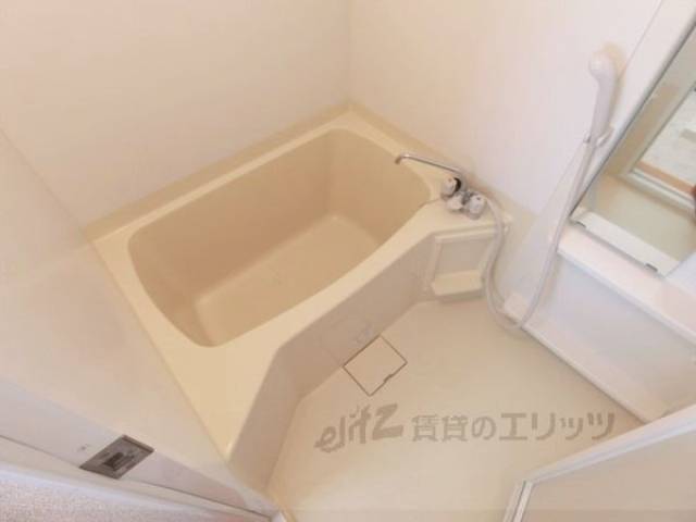バス