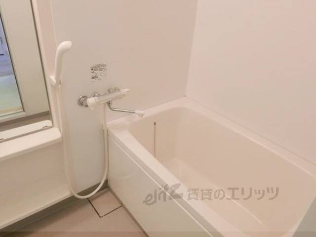 バス