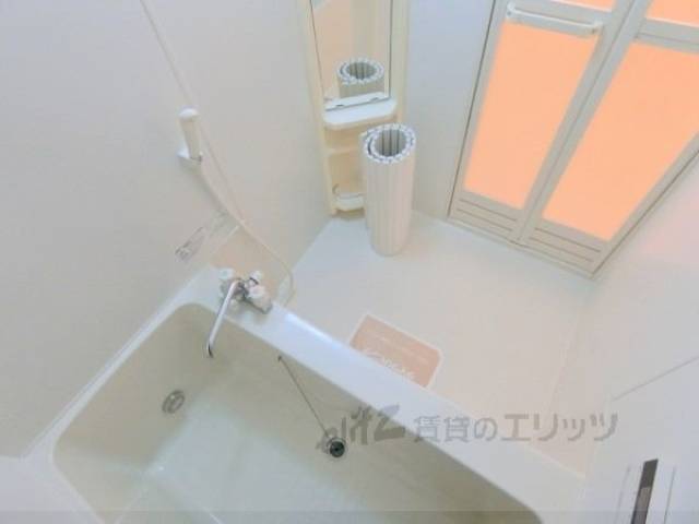 バス