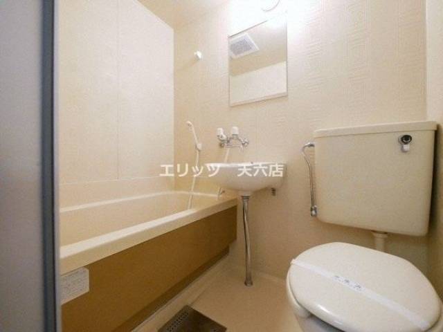 バス