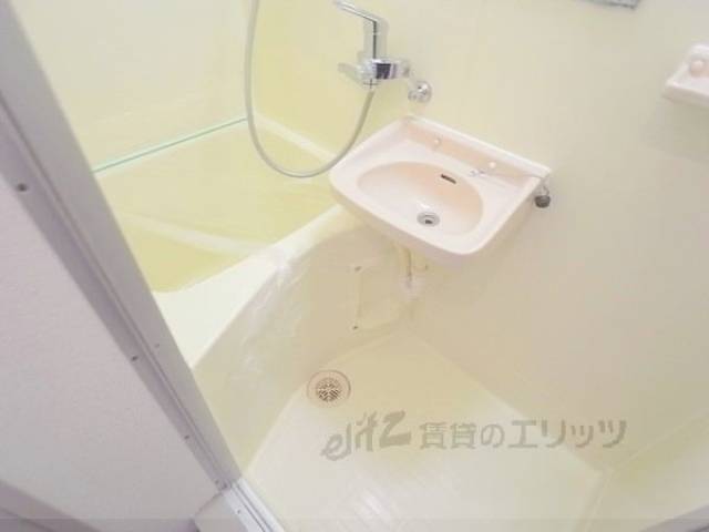 バス