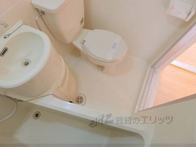 バス