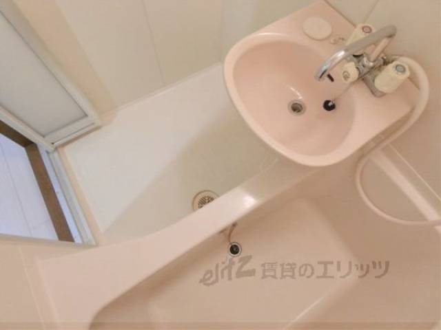バス