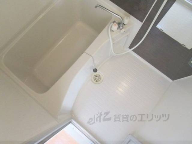 バス
