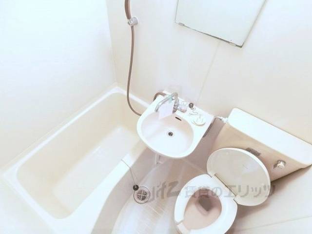 バス