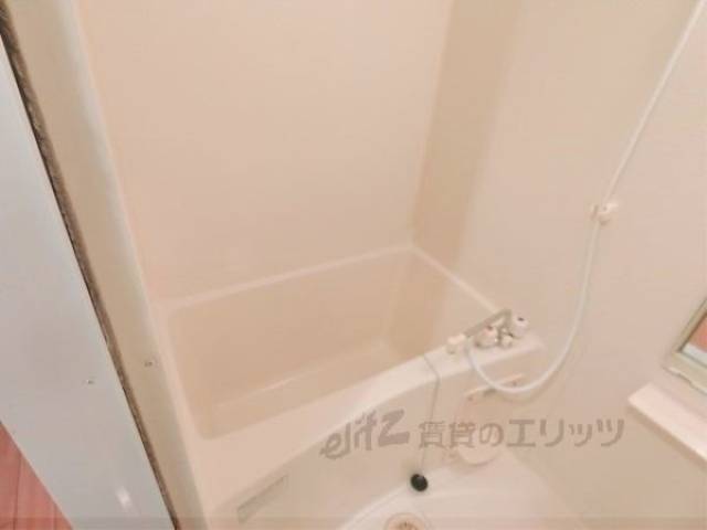 バス