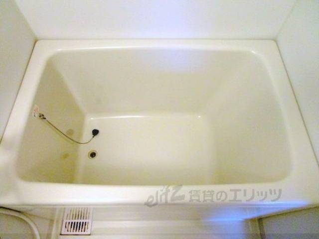 バス