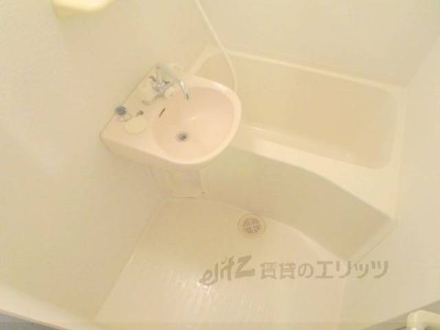 バス