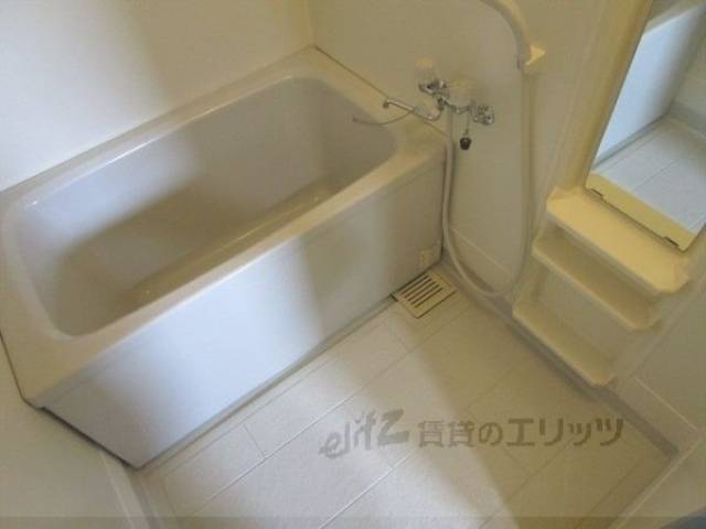 バス