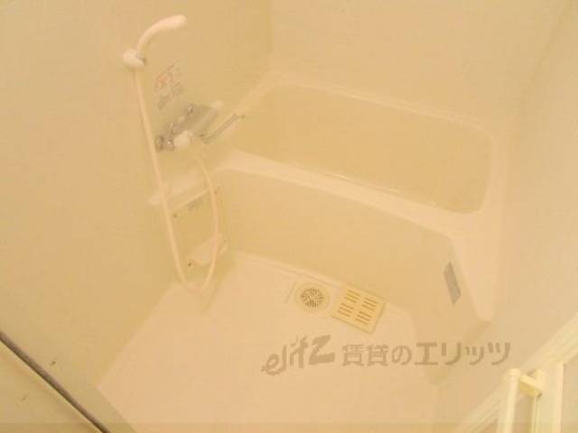 バス