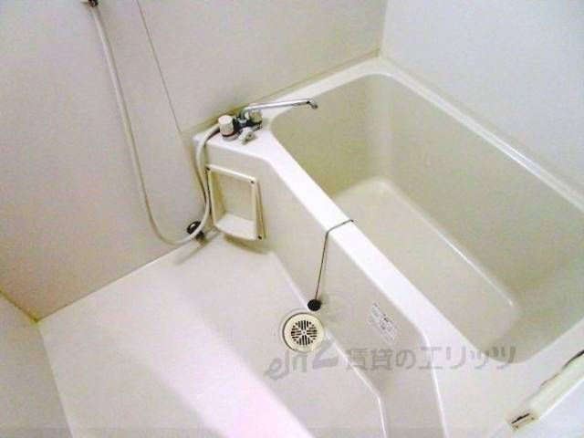 バス