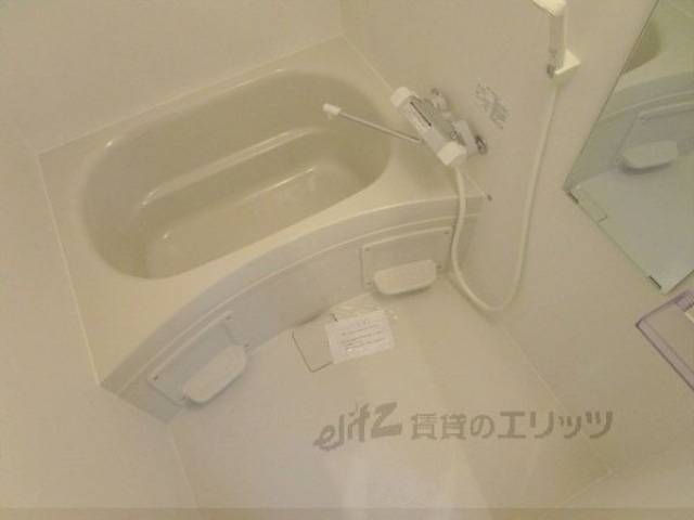 バス
