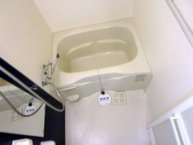 バス