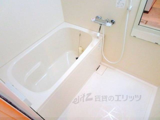 バス