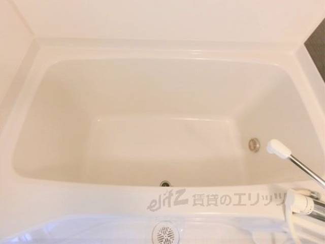 バス