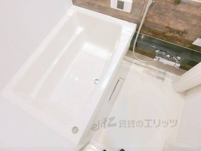 バス