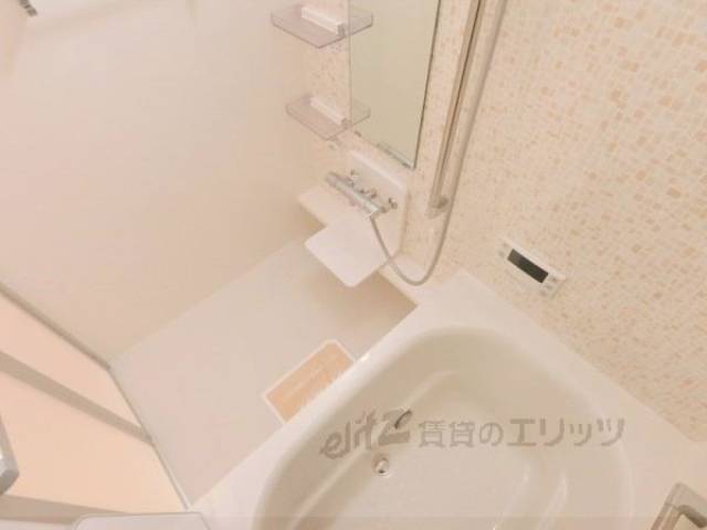 バス