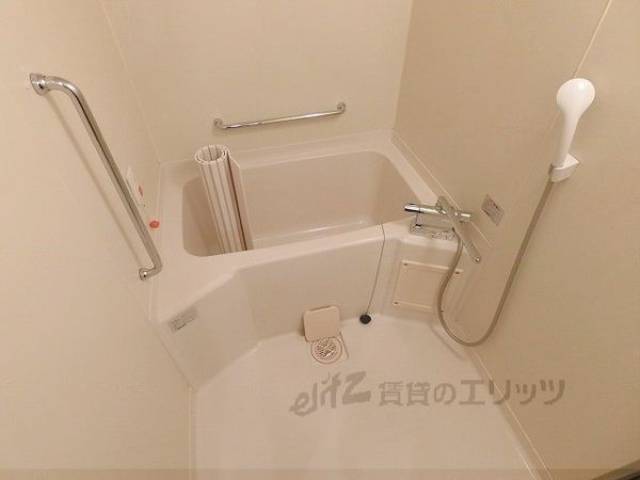 バス