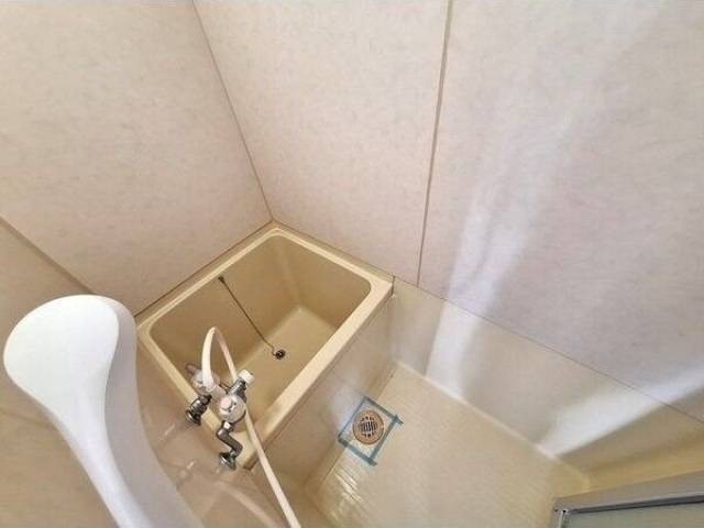 バス