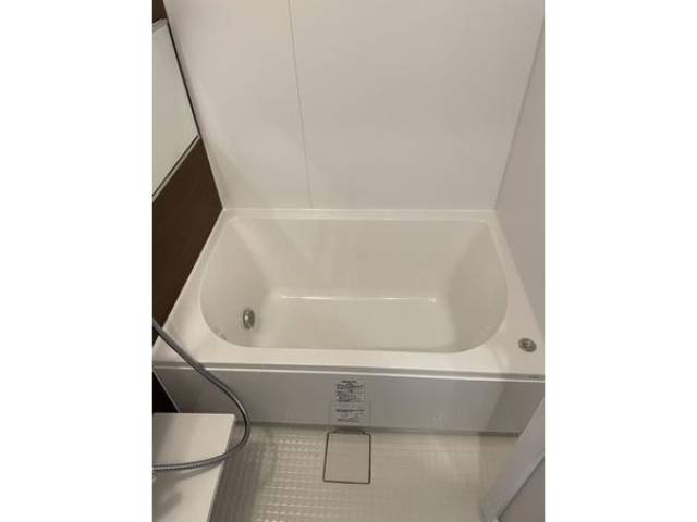 バス