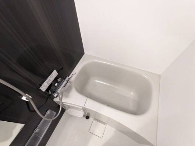 バス