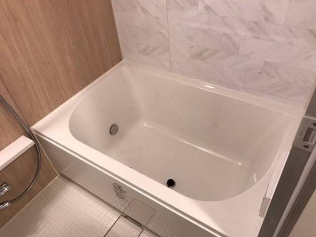 バス