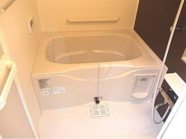 バス