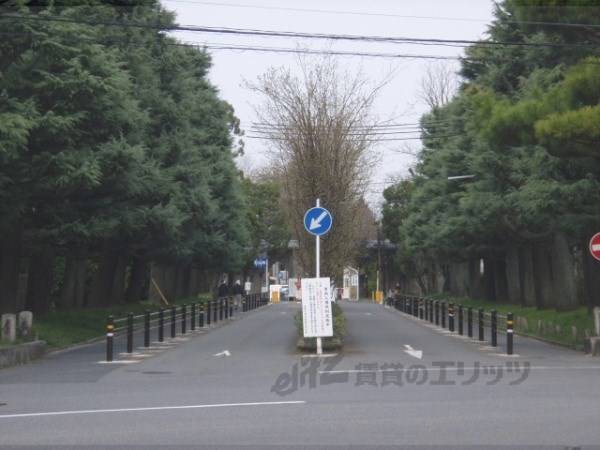 京都大学農学部