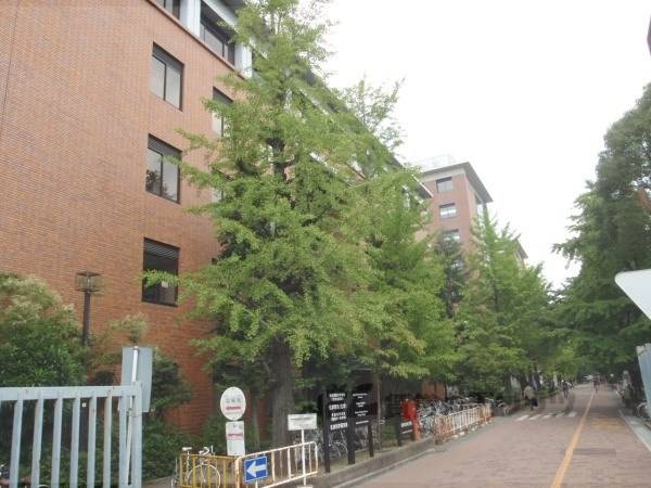 京都大学農学部