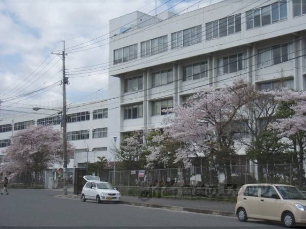 嵯峨美術大学