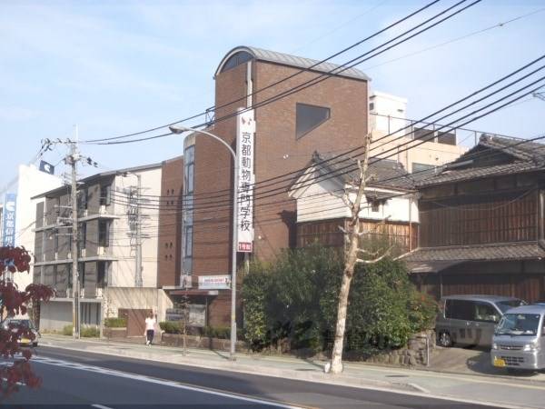 京都動物専門学校