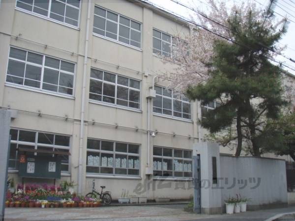 朱雀中学校