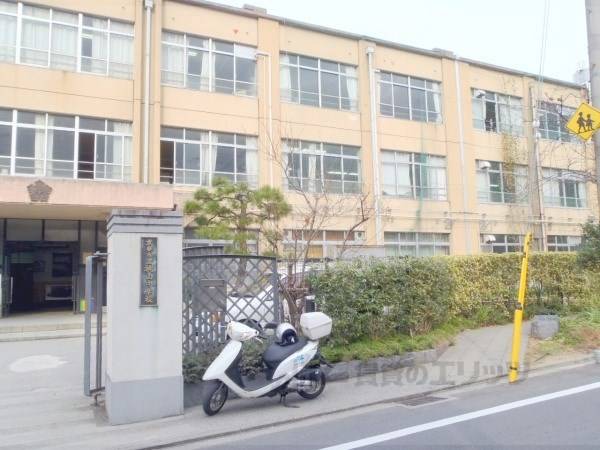 桃山中学校