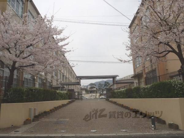 安祥寺中学校