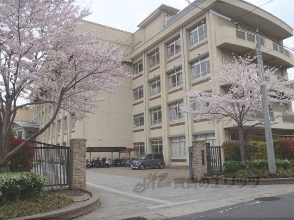 花山中学校