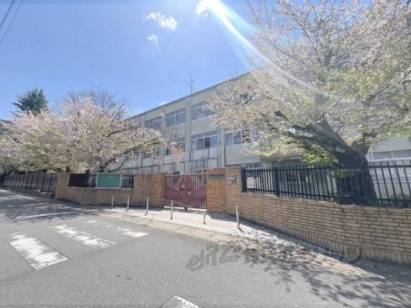 醍醐中学校